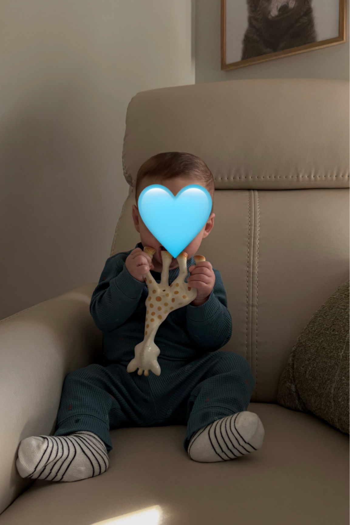 If there’s only ONE teething toy I could recommend it would always be Sophie the giraffe! 

#LTKBaby #LTKGiftGuide #LTKKids