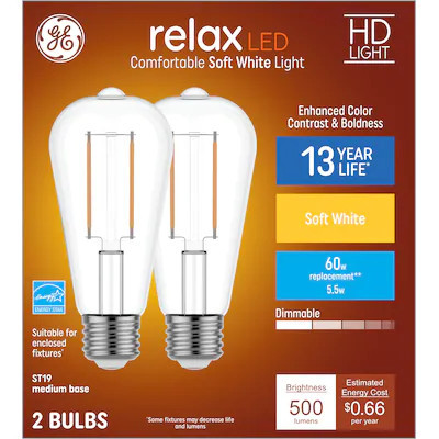 GE Vintage 60-Watt EQ ST19 Soft White Medium Base (e-26) Dimmable LED Edison Decorative (2-Pack) | Lowe's