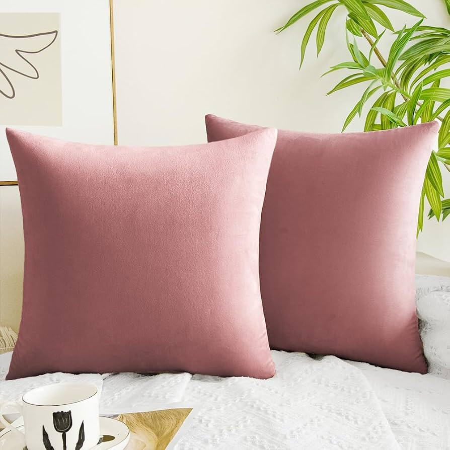 Dusty Pink Pillow Covers 18x18 Inch Pack of 2 Rose Coral Pink Throw Pillows for Couch Living Room... | Amazon (US)