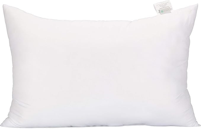 Acanva Fluffy Pillow Insert for Bed Sleeping, Decorative Stuffer Cushion Sham Filler, Standard 20... | Amazon (US)
