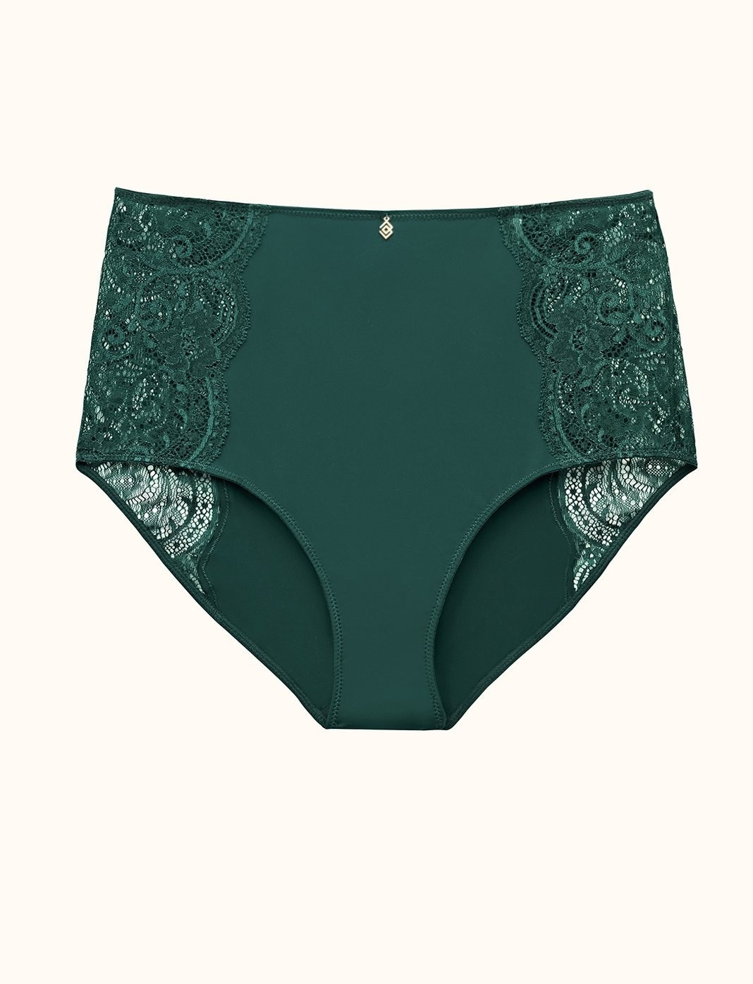 Lace High Brief | ThirdLove