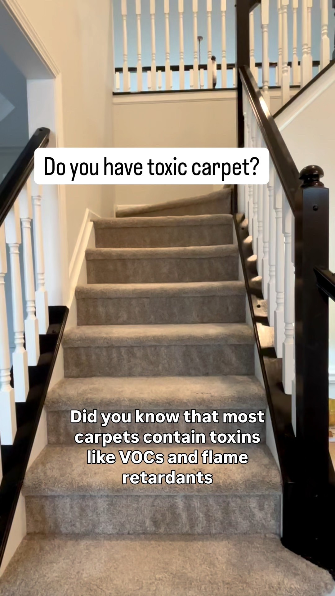 Over here trying to make healthier choices where we can 🤍

Our nontoxic basement carpet from ACO Flooring was such a good experience! 

I wrote a blog post on our website explaining why healthy carpet matters (if you want to learn more - www.BalancedFriends.com)

If you’re local, I highly recommend Aco for your next nontoxic flooring project ✨

#LTKHome #LTKvlog #LTKstorytime