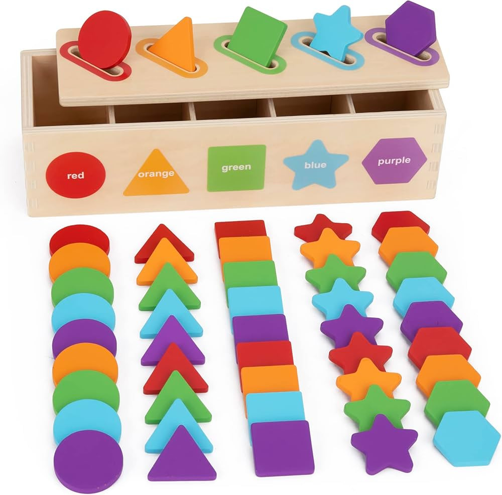 KMTJT Montessori Toys for 2 Year Old | Color Sorting & Stacking Matching Toys | Learning Sorting ... | Amazon (US)