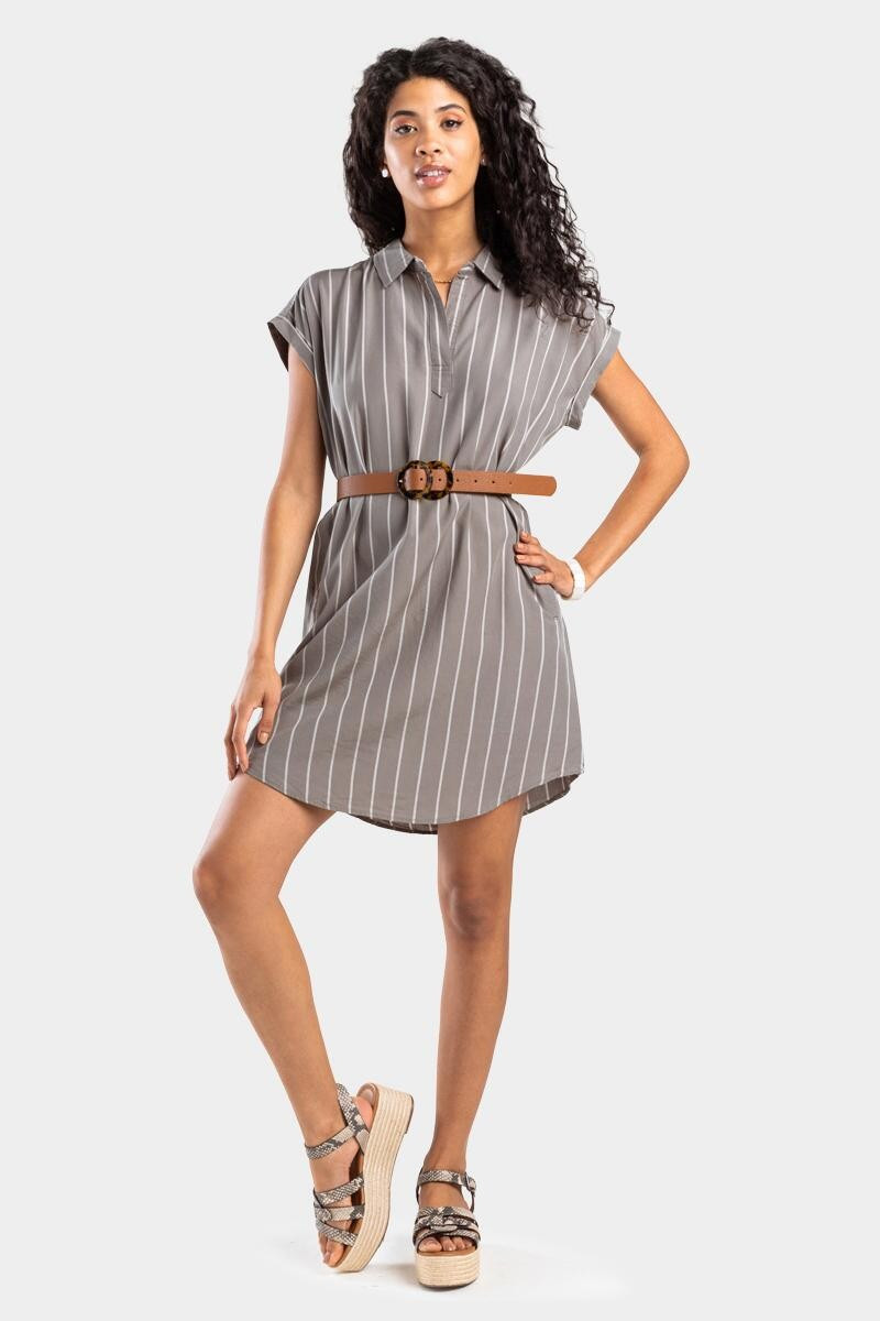 Ophelia Striped Shirt Dress | Francesca’s Collections