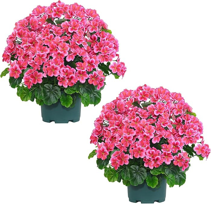 QIANYUN Artificial Topiary for Outdoors- 20” Potted Plant Fake Geraniums Bush-UV Resistant Arti... | Amazon (US)