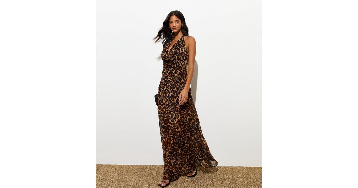 Brown Leopard Print Cowl Neck Midi Dress | New Look | New Look (UK)