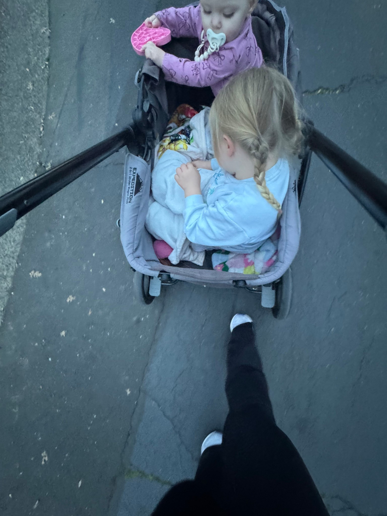 Absolutely love this wagon for the girls for walks. Gives them so much space! 

#LTKKids #LTKmomlife #LTKBaby