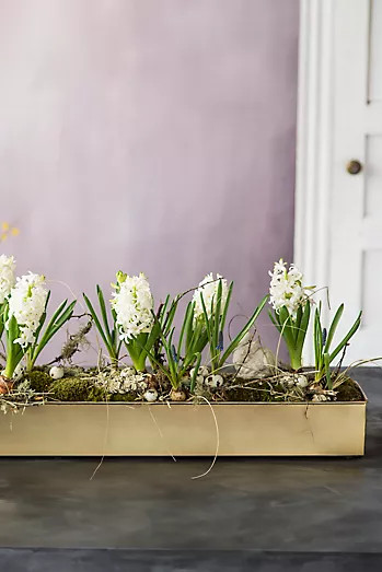 Habit & Form Rectangle Trough, Medium | Anthropologie (US)