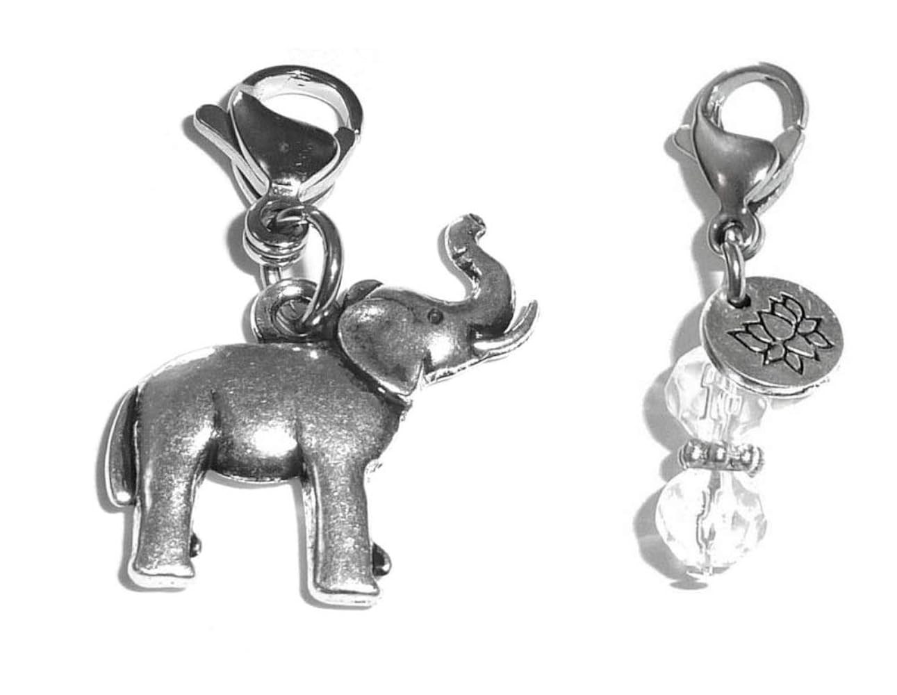 Clip On Charm, Build Your Own Bracelet, Bag, Purse, Handbag, Message, Inspirational, Keychain, Zi... | Amazon (US)