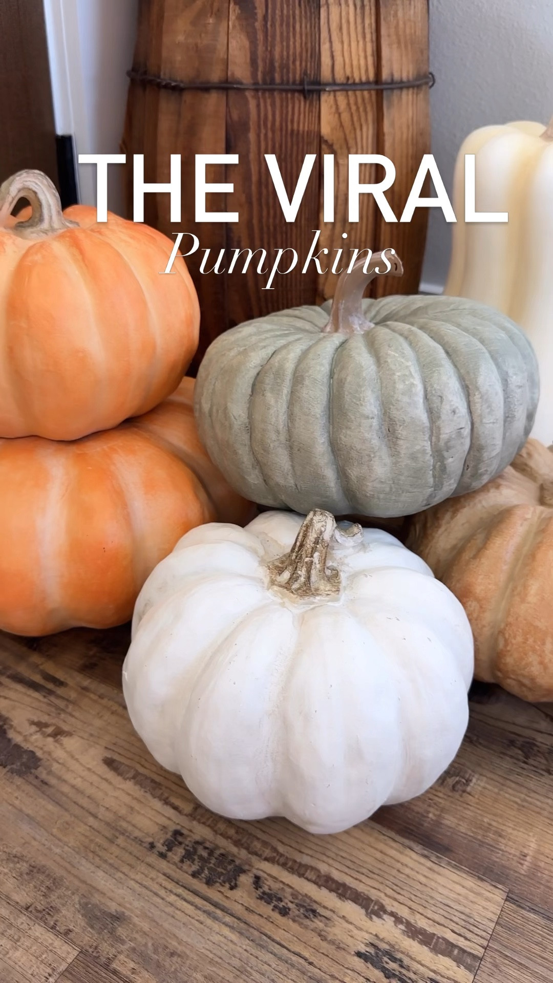 These are so worth the hype! A collection that I can add to every year. These can be stored inside or out and I just LOVE the way this turned out. 

#LTKVideo #LTKHalloween #LTKSeasonal