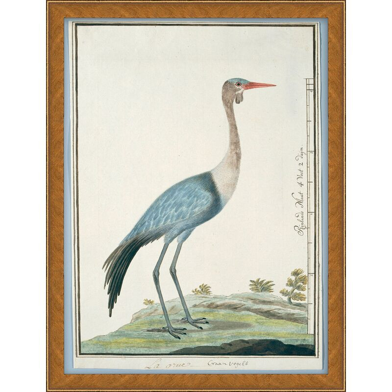 S/9, Coastal Birds | One Kings Lane