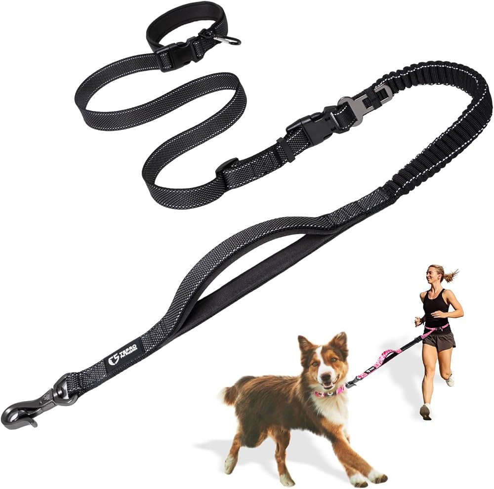 TSPRO Hands Free Dog Leash for Walking Running with Safety Car Seat Belt Shock Absorbing Bungee L... | Amazon (US)