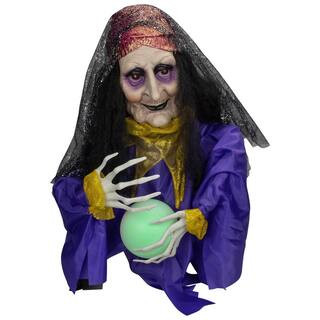 Lighted and Animated Fortune Teller Halloween Decoration-20 in. -Multicolor Lights | The Home Depot