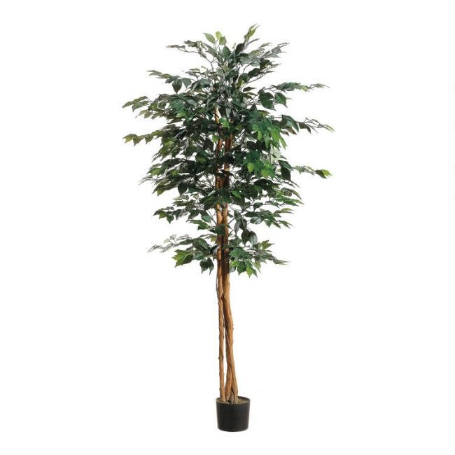 6 Foot Faux Ficus Tree | World Market