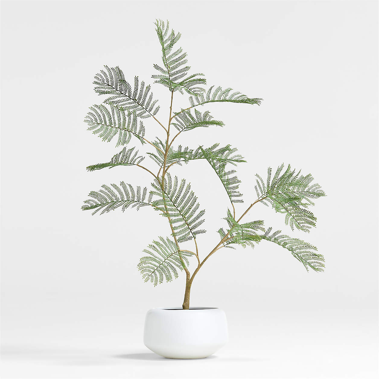 Potted Faux Fern 3' + Reviews | Crate & Barrel | Crate & Barrel