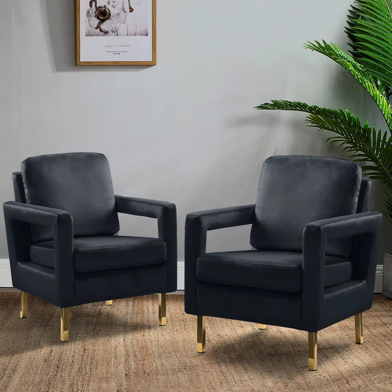 Clayne Velvet Armchair | Wayfair North America