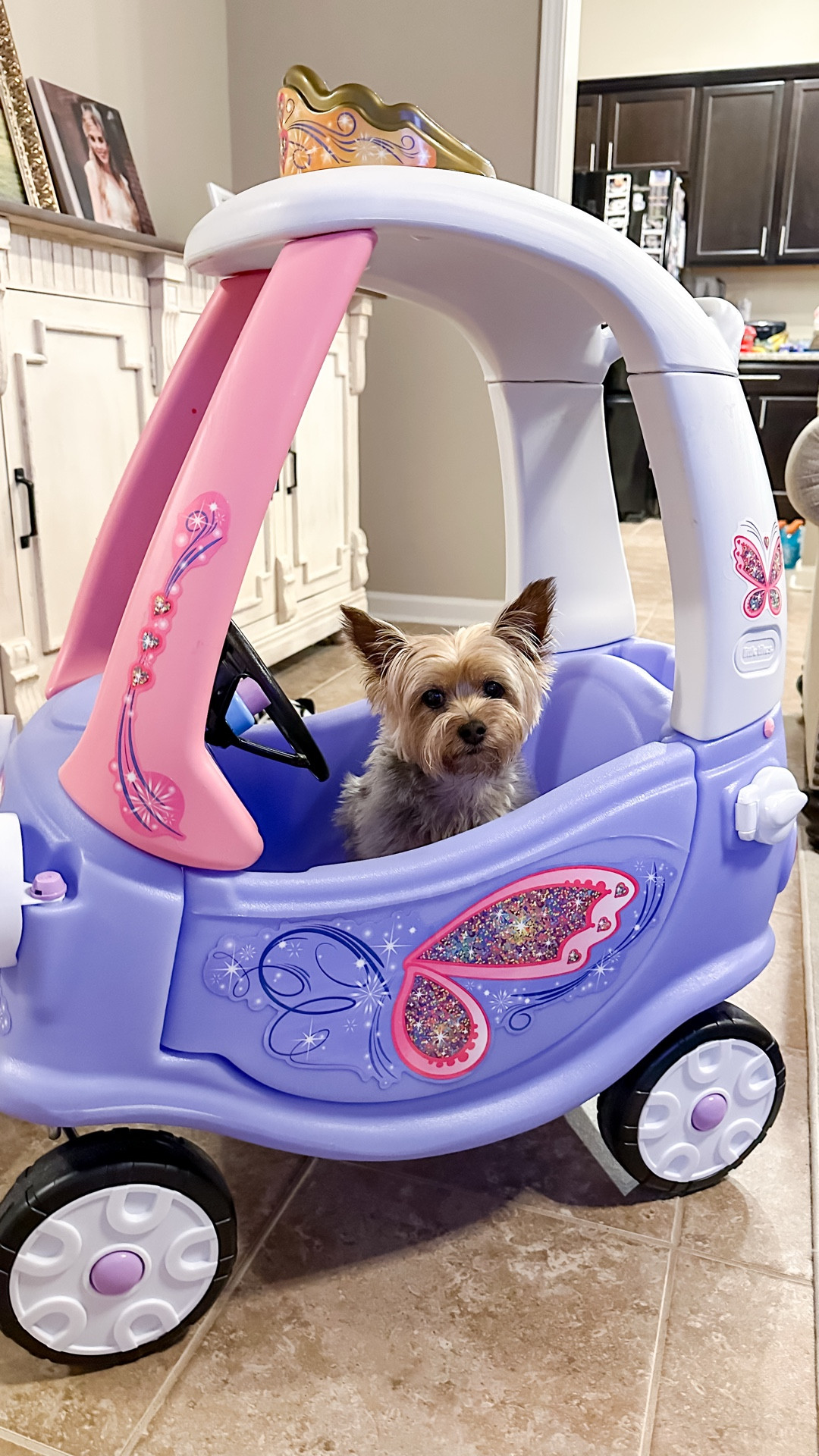 A MUST-HAVE for first birthday wish lists! We finally set up my daughter’s cozy coupe and even our puppy girl is loving it.
If your little one loves imaginative play, the Fairy Little Tikes Cozy Coupe is a must-have ride-on toy! Perfect for toddlers, this whimsical twist on the classic Cozy Coupe adds sparkle and fairy magic to outdoor playtime. In my review video, I’m sharing everything you need to know—from durability to design—so you can decide if it’s the right choice for your child. 

This iconic toddler car is great for backyard fun, developing motor skills, and hours of pretend play. Whether you’re shopping for birthdays, holidays, or just want a magical addition to your play space, the Fairy Cozy Coupe by Little Tikes is a favorite among parents and kids alike. 

#LittleTikes #CozyCoupe #FairyCozyCoupe #ToddlerToys #RideOnCar #OutdoorPlay #ToyReview #PlayroomFavorites #KidsGiftIdeas #ToyTok

#LTKFindsUnder50 #LTKKids #LTKFamily