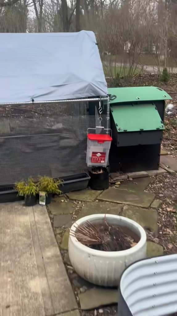 Backyard Chicken Coop and Run

#LTKWatchNow #LTKHome #LTKFamily