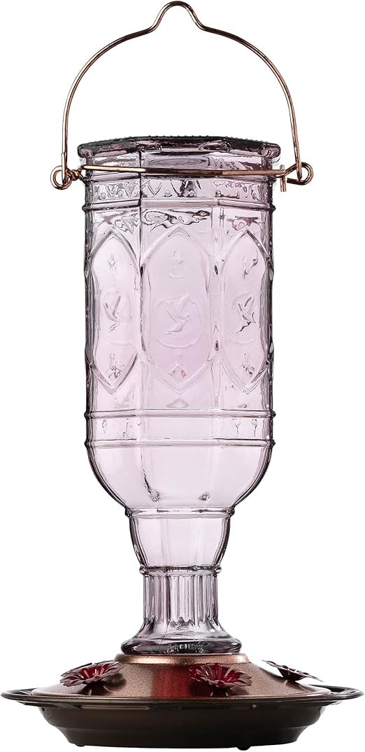 More Birds Amethyst Jewel Hummingbird Feeder, Glass Hummingbird Feeders for Outdoors, 5 Feeding S... | Amazon (US)