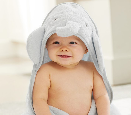 Click for more info about Super Soft Animal Baby Hooded Towel & Washcloth Set