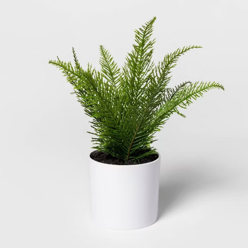 9" x 9" Artificial Fern Arrangement in Pot White/Green - Project 62™ | Target