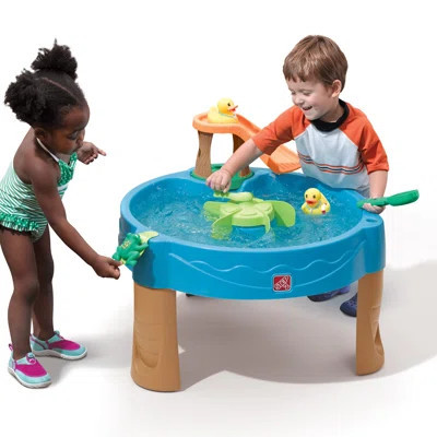 Duck Pond Water Table | Wayfair North America