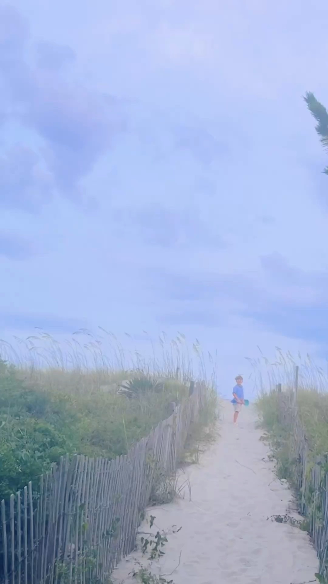 … and spending sunset 🌅 hour on the beach 🏝️ digging 🪏 in the sand 🪣, chasing waves 🌊, searching for seashells 🐚, anddddd these boys caught a CRAB!!! 🦀 Watch til the end to see!!! 🤭 It has been quite the fun 🤩 night to welcome in our week of vacation!!! 🙌🏽 Thank you, Lord, for this sweet time away with my people!!! ❤️🤍💙