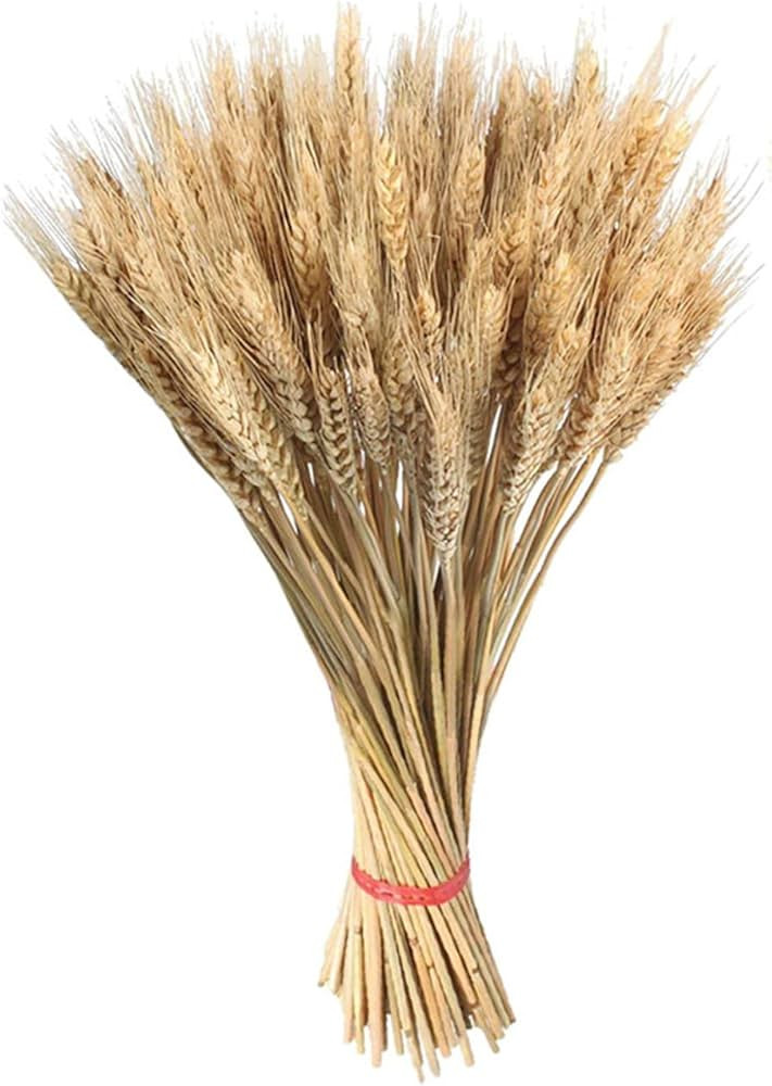 Dried Wheat Sheaves, 100 Pcs Natural Dried Wheat Bouquet, Stalks Wheat Flowers Bundles, Dried Ste... | Amazon (US)