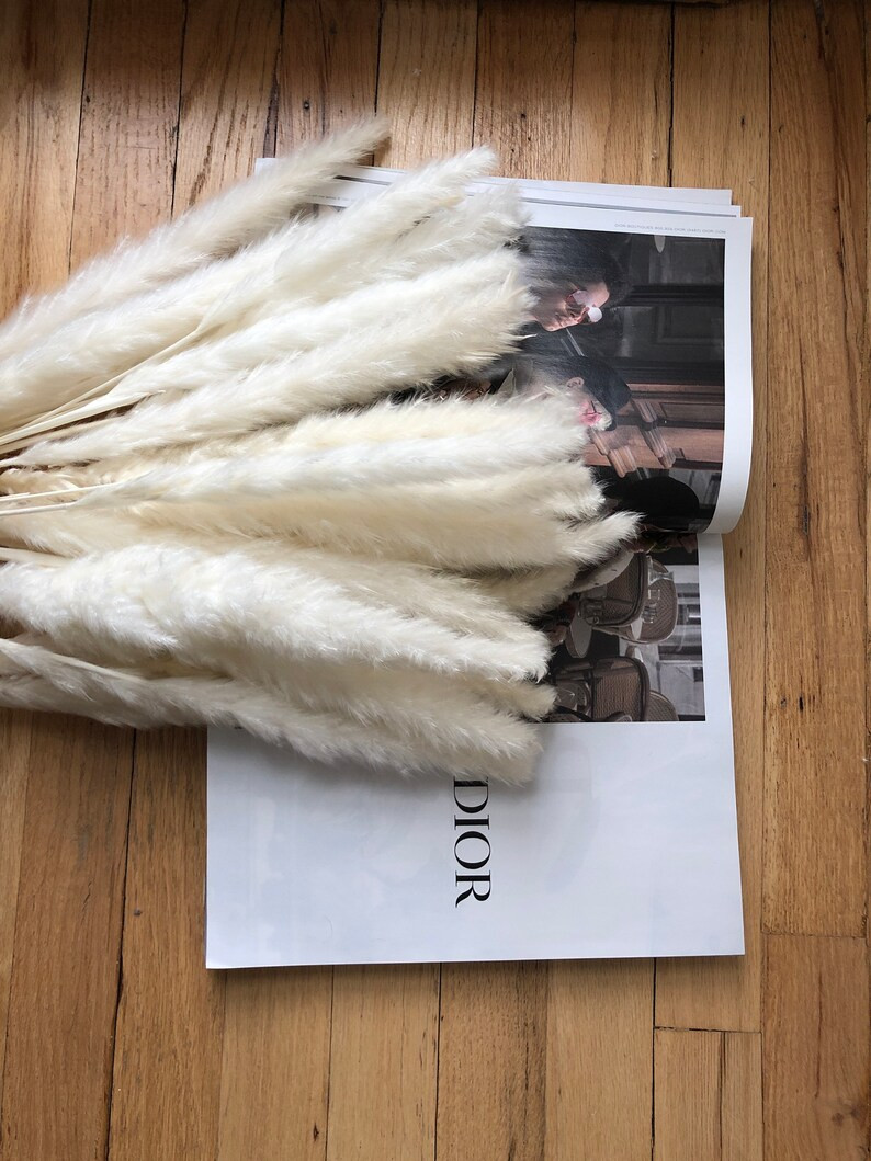 PAMPAS GRASS Small White 25 pcs 26" tall - Reed Bunch Wedding flowers Home Decor Dried Flowers Bo... | Etsy (US)