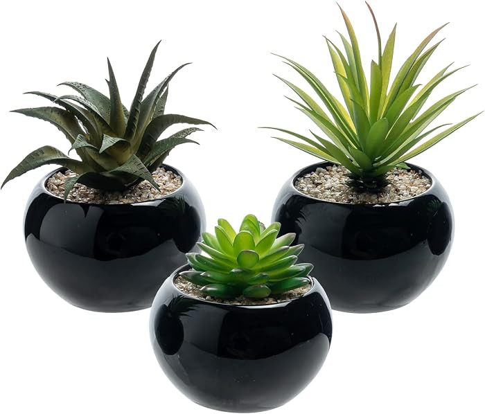 MyGift Mini Assorted Artificial Succulents in Round Black Ceramic Pots, Mixed Realistic Indoor Ho... | Amazon (US)