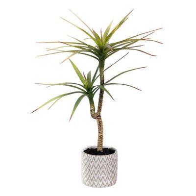 allen + roth 23-in Green Artificial Dracaena Plants Lowes.com | Lowe's