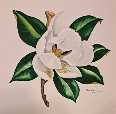ORIGINAL Grace Haughee watercolor painting Magnolia flower 15"×13" fine art | eBay US