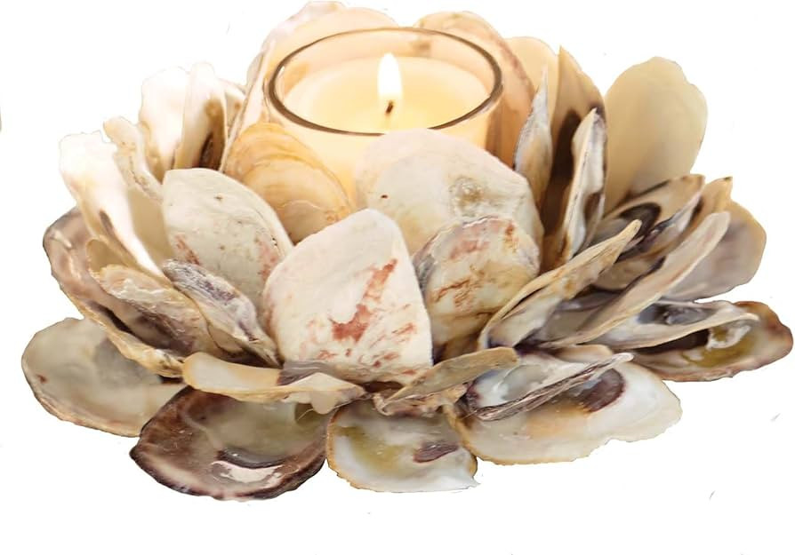 Mud Pie 498B002 Oyster Shell Votive Holder 3 1/4" x 7" | Amazon (US)