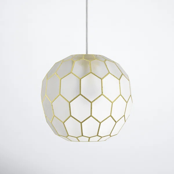Camden Statement Globe Pendant | Wayfair North America