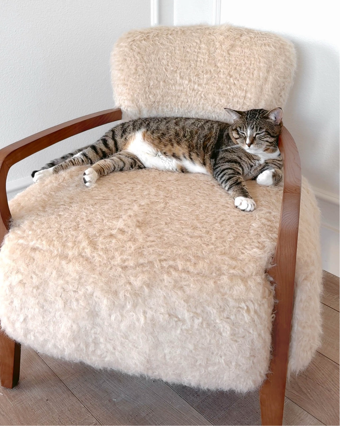 The coziest seat in the house 🫶🏻

#LTKHome #LTKStyleTip