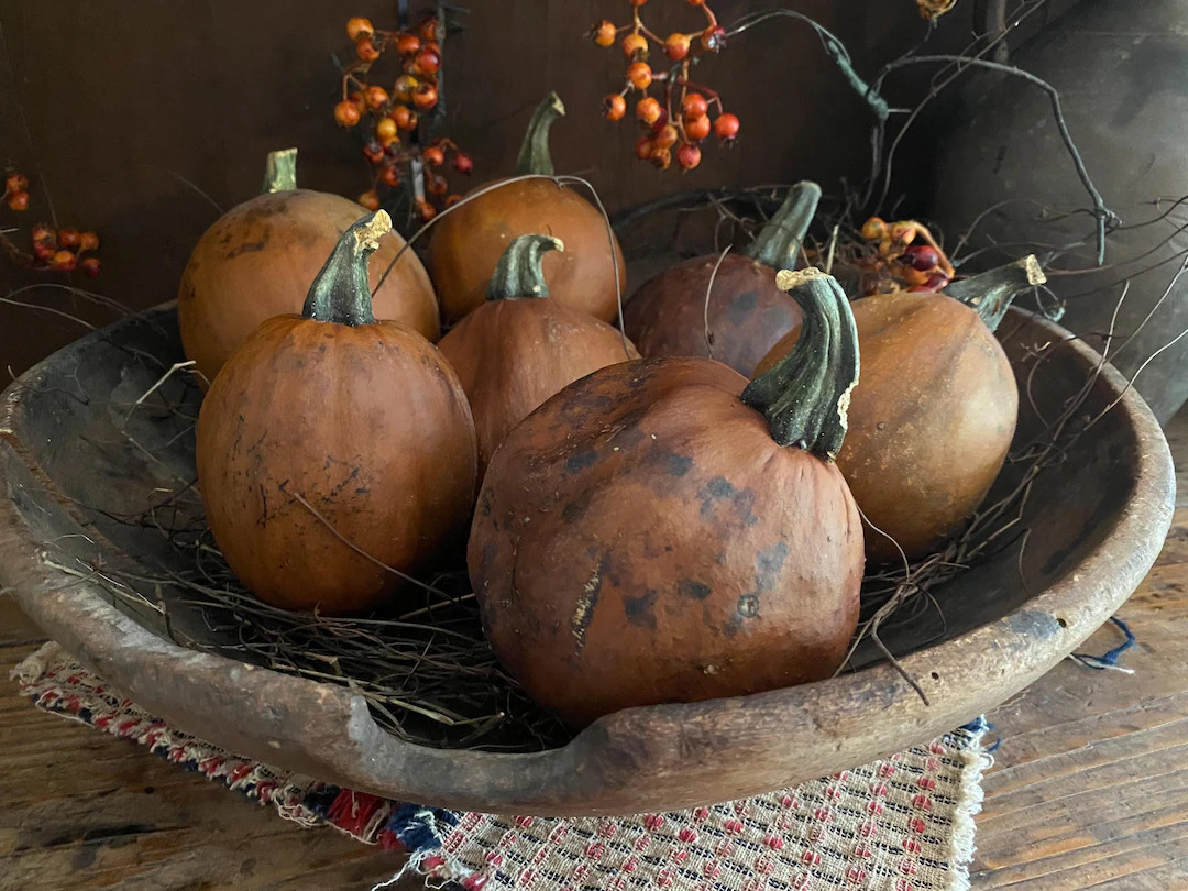 Ball Pumpkin Whole Dried Pumpkin Primitive - Etsy | Etsy (US)