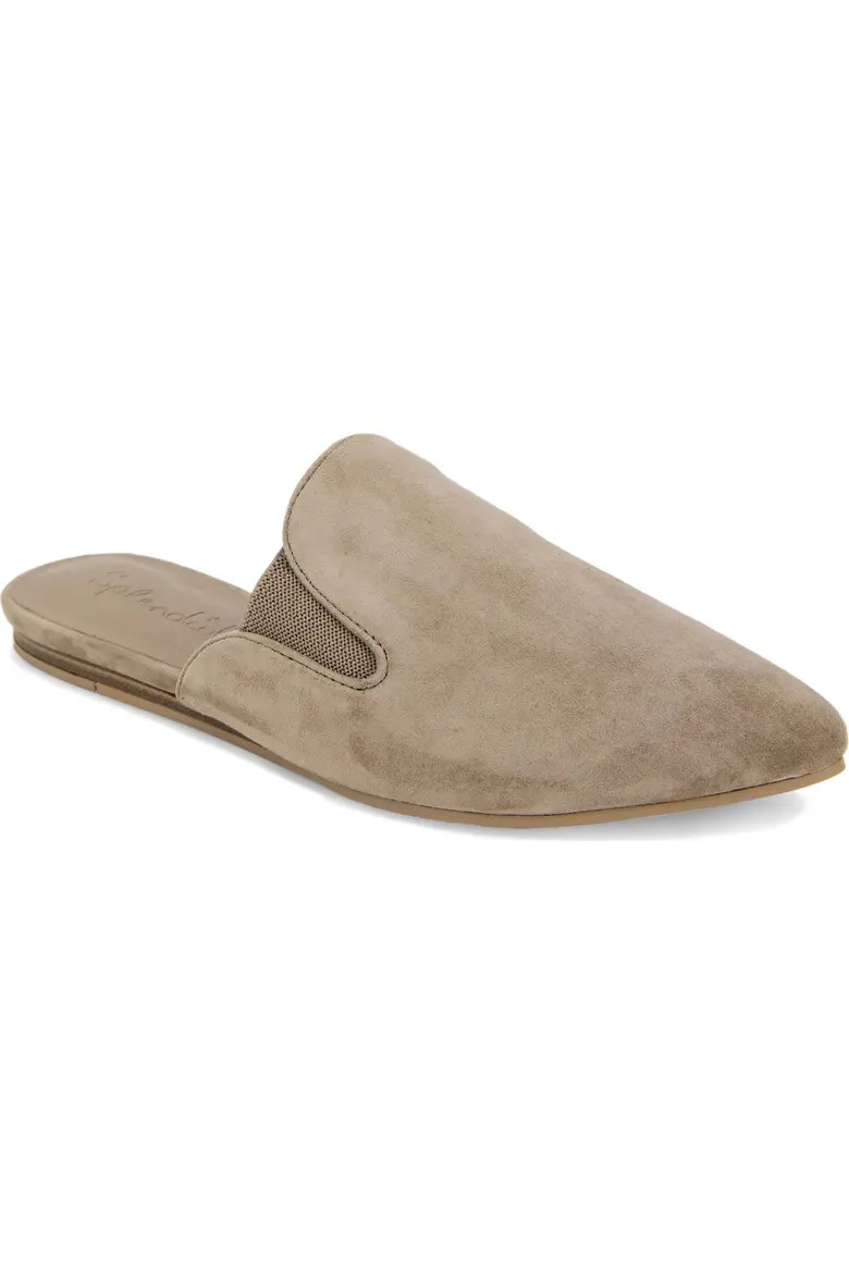 Liza Pointed Toe Mule (Women) | Nordstrom | Nordstrom