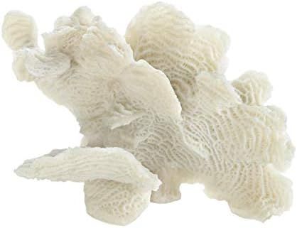 Accent Plus Large White Coral Tabletop Decor 9.25x4.5x6.5â€ | Amazon (US)