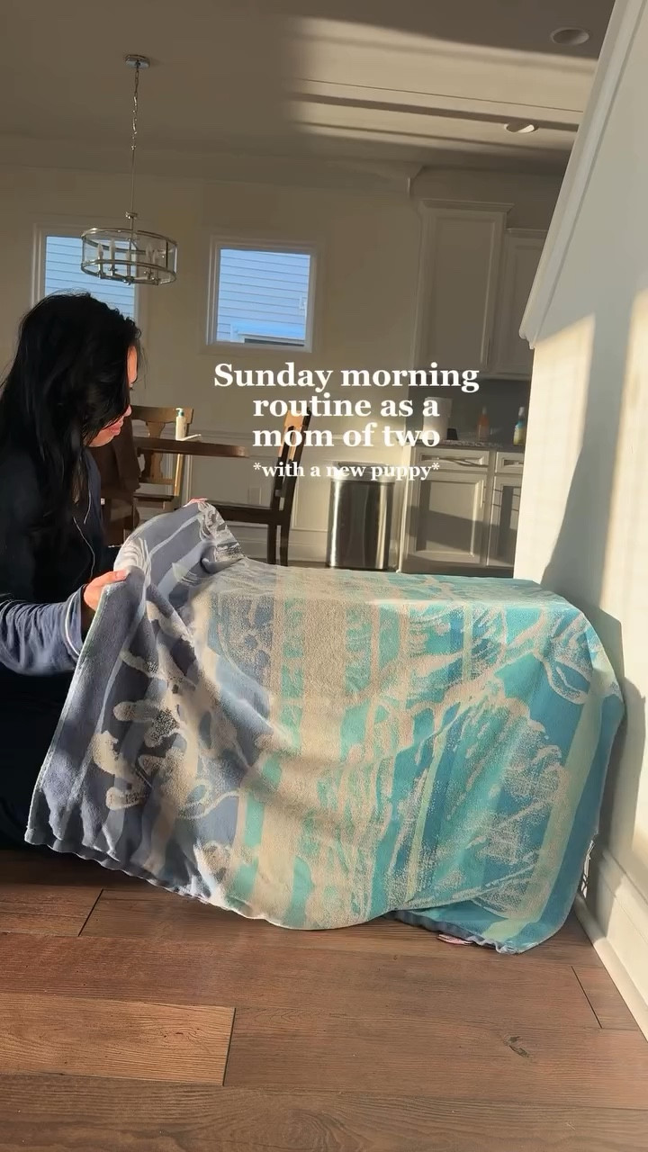 Happy Sunday from my little family to yours! 🤍

#sundaymorningroutine #morningroutine #newpuppy #minidachshund #momlife #reallife #lifestyle #lifewithboys #unfilteredmotherhood