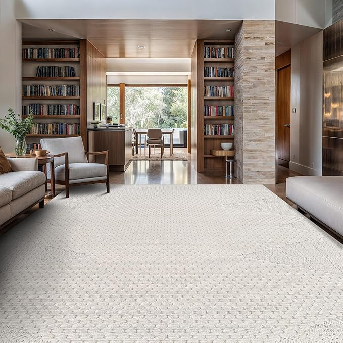 Modern Micro Loop Indoor Area Rugs for Living Room Bedroom Kitchen Geometric Triangle White 5x7 L... | Amazon (US)