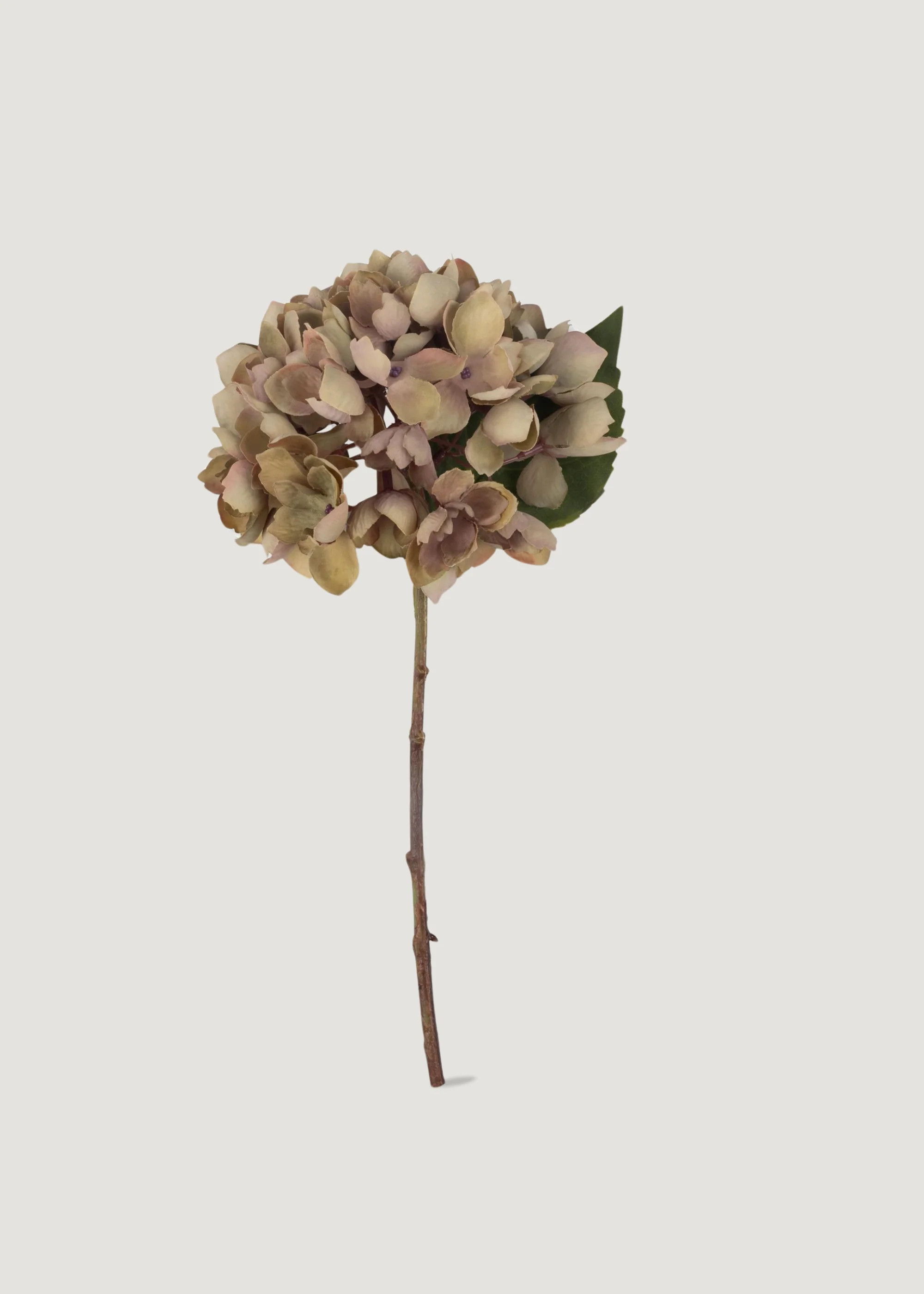 Dried Look Faux Hydrangea in Vintage Taupe - 13.75" | Afloral