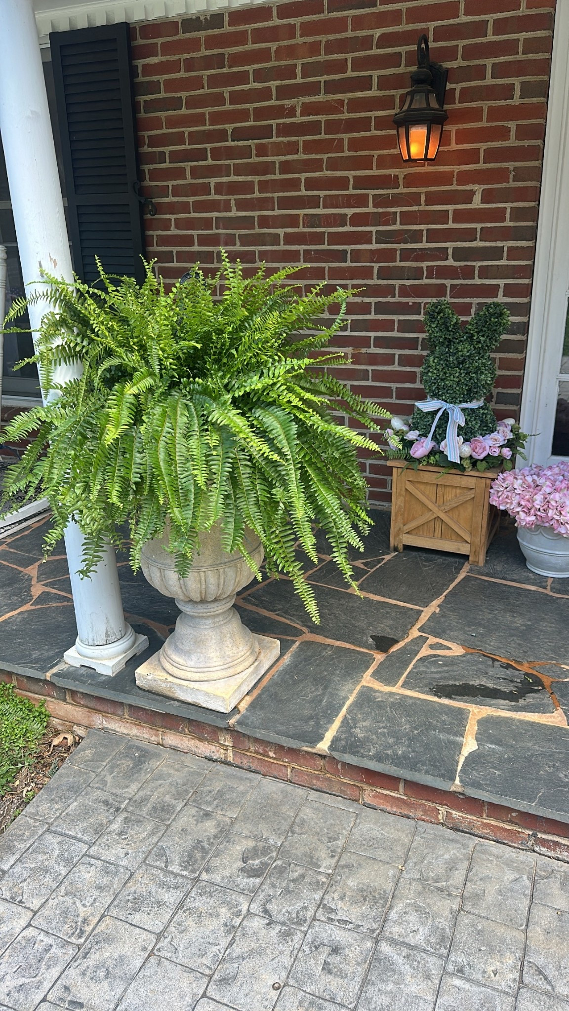 To clarify, these are real plants! Not fake. But for this price, I’m taking my chances! 

Honestly so impressed with the size of these! They’re so full and lush, and only $20 for both! Plus they show up at your doorstep! 🙌🏻

#walmartfinds #walmarthome #ferns #frontporch #walmartdeals