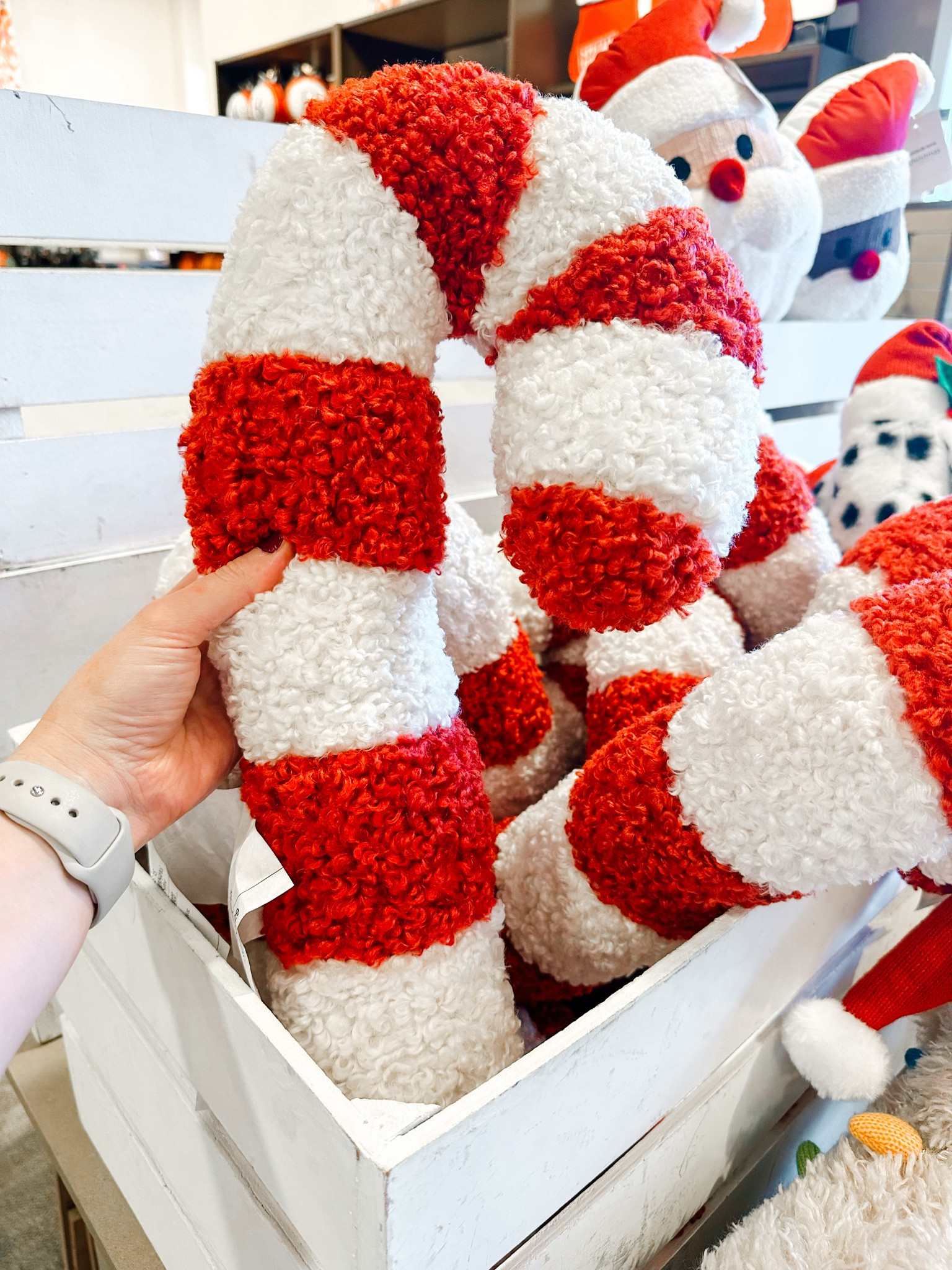 Pottery barn lookalike pillows at Kirkland 