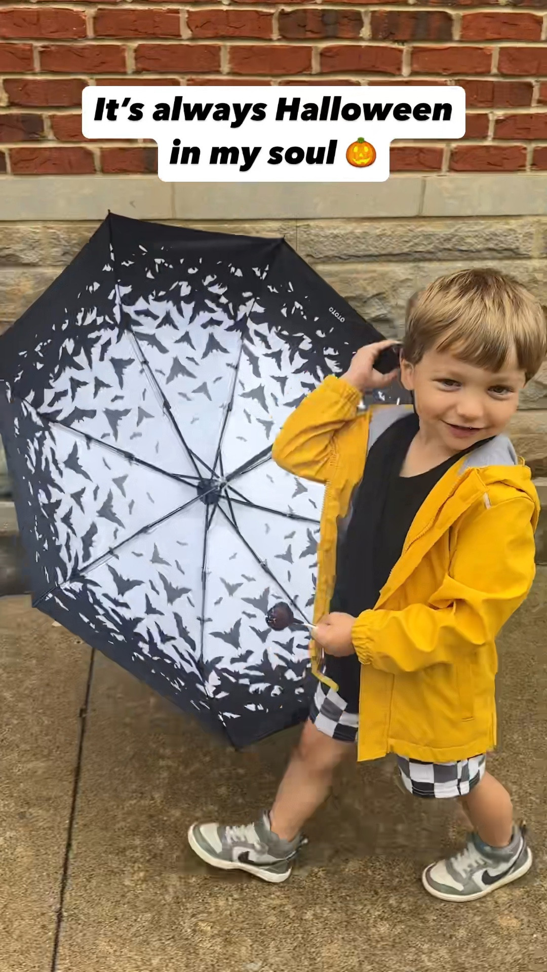 #LTKSeasonal #LTKHome #LTKFindsUnder50