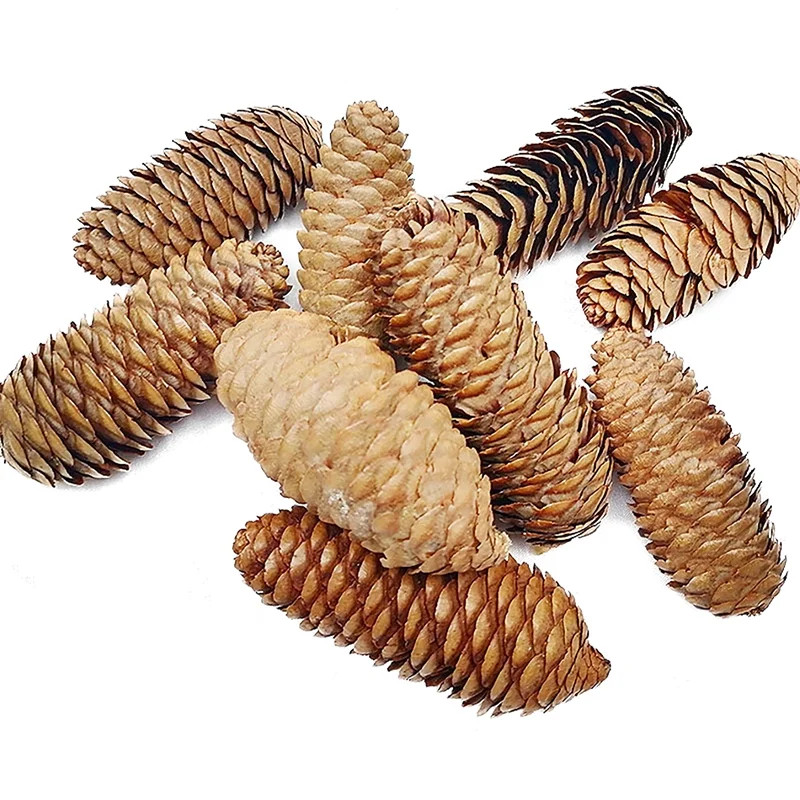 Christmas Pinecone Decorations Rustic 10PCS Natural Pine Cones Craft Pinecones | Walmart (US)