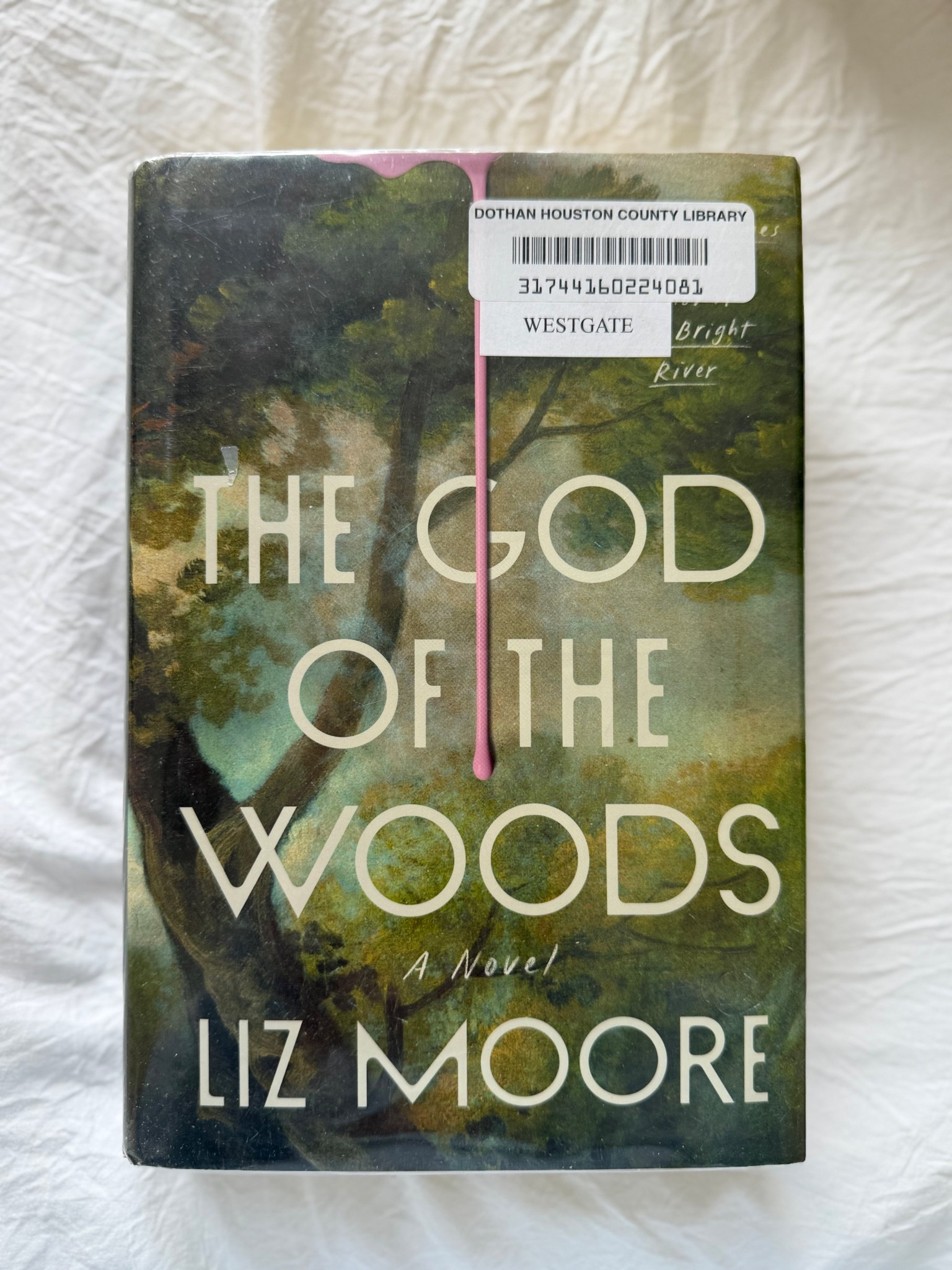 Moody, haunting, and beautifully written 🌲✨ The God of the Woods by Liz Moore — linking my current read.

#LTKstorytime #LTKSaleAlert #LTKFindsUnder100