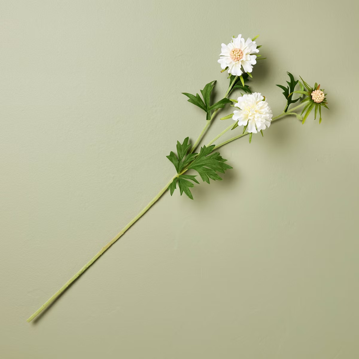 25" Scabiosa Artificial Stem White - Hearth & Hand™ with Magnolia | Target