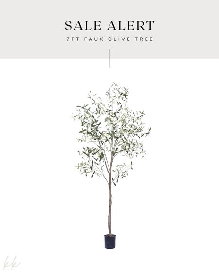 The Amazon tree in our bedroom is on sale!

#LTKfindsunder100 #LTKsalealert #LTKhome