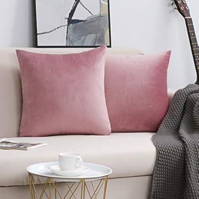 shengyu Velvet Pillow Covers,Pack of 2 Decorative Throw Pillow case for Couch Bed Sofa,Soft Cushi... | Amazon (US)