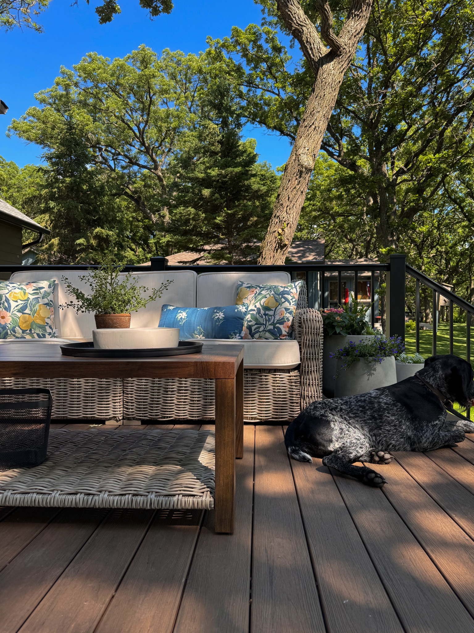 Patio sources! This black metal tray is so great and perfect to hold this citronella candle and faux fern! Love the pop of color in these outdoor pillows to! 

#LTKSaleAlert #LTKFindsUnder100 #LTKSeasonal